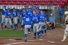 Baseball vs Rowan  Wheaton College Baseball takes on Rowan University in game one of the NCAA D3 College World Series at Veterans Memorial Stadium in Cedar Rapids, Iowa. - Photo By: KEITH NORDSTROM : Wheaton Basball, NCAA, Baseball, World Series